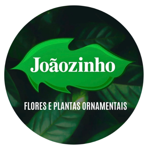 Joãozinho Flores e Plantas Ornamentais