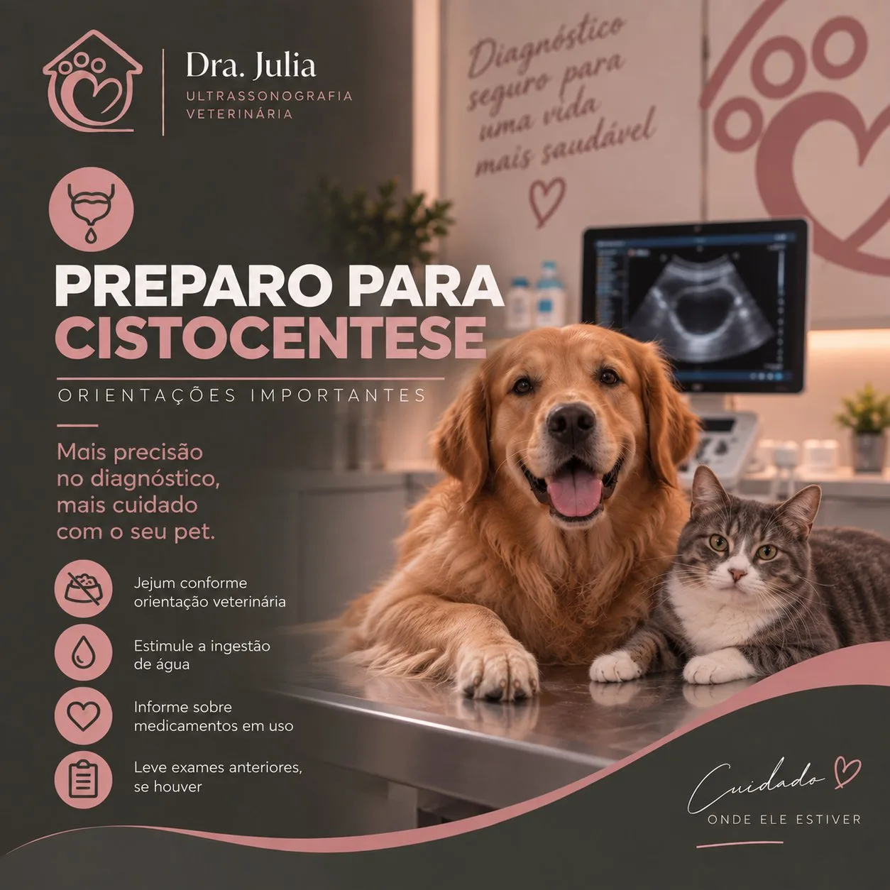 Preparo para cistocentese