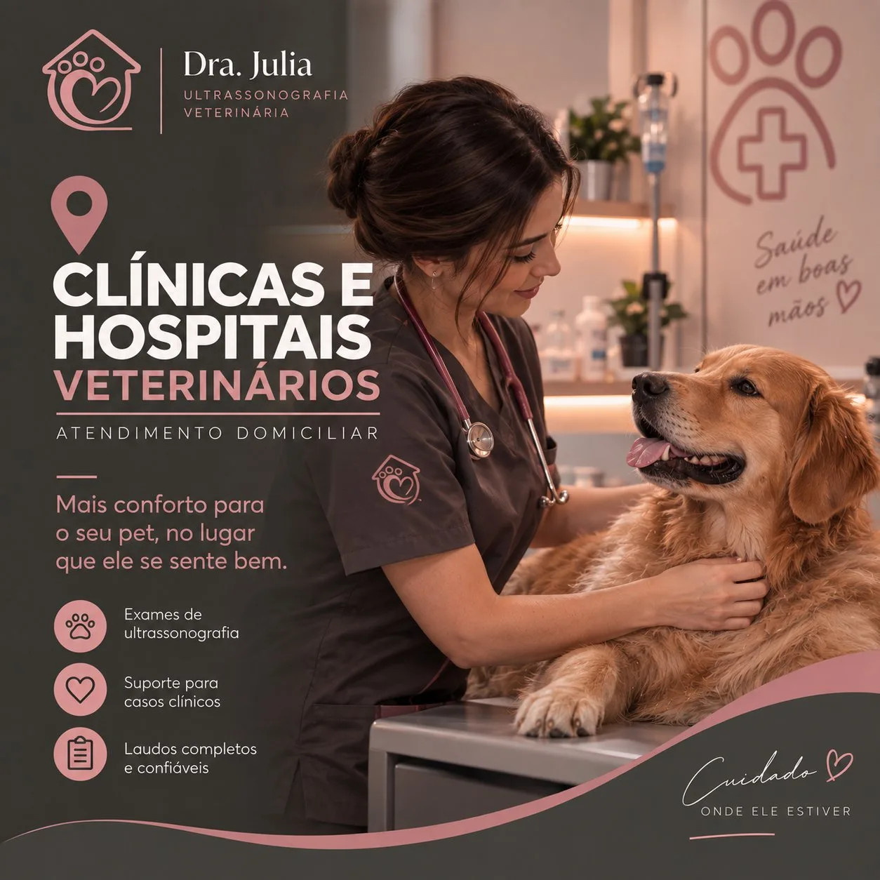 Clínicas e hospitais veterinários